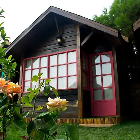 Les Olives Garden Holiday home *