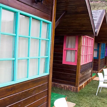 Les Olives Garden Holiday home *
